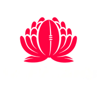 New South Wales Waratahs